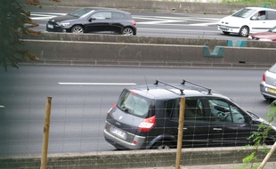 Des moutons assurent la tonte des talus du périphérique parisien.
