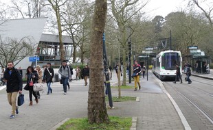 A Nantes, le 24/03/2015- Illustration etudiants a l universite, campus du Tertre, devant la fac de lettres