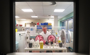 Le docteur Philip Supply procède au prélèvement des souches originelles du BCG.