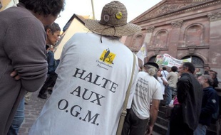 Devant la méfiance tenace envers les OGM en Europe, BASF va cesser de développer de nouveaux produits destinés exclusivement au marché européen et a annoncé lundi un recentrage de ses activités dans le secteur sur des régions plus clémentes, comme les Etats-Unis.