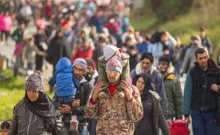 Des migrants et réfugiés marchent vers la frontière entre l'Autriche et la Slovénie, le 25 octobre 2015 à Sentilj, en Slovénie