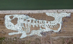 Une baleine réalisée par des étudiants avec des déchets plastiques ramassés, en Chine le 10 juin 2019.