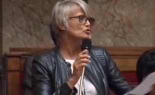Véronique Massonneau, députée écolo de la Vienne, à l'Assemblée le 8 octobre 2013