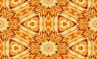 Une mosaïque de pâtes faite par quelqu'un au sens artistique développé