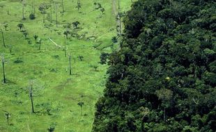 Déforestation de la forêt amazonienne, au Brésil.