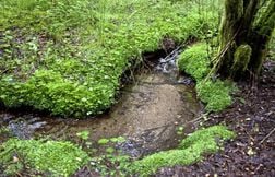 « Si on les bouche, il n’y a plus de vie »… Les pêcheurs veulent sauver les…