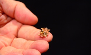 Le robot origami