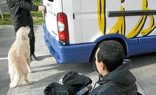 Selon Tisséo, 88 % des usagers seraient satisfaits de Mobibus.
