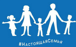 Capture d'écran du drapeau de Russie unie, copiant l’emblème de la Manif pour tous.
