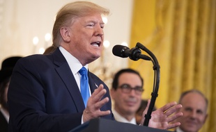 Le président américain Donald Trump le 11 décembre à Washington.
