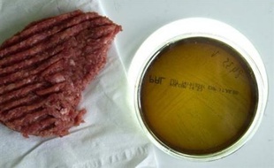 Auchan a annoncé samedi dans un communiqué avoir décidé de rappeler des steaks hachés vendus le 30 mai et qui pourraient entraîner des gastro-entérites, via une contamination par le germe Escherichia coli.