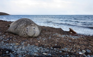 L'archipel des Kerguelen constitue l'un des cinq districts du territoire des Terres Australes et Antarctiques Françaises.