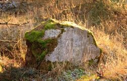 En jardinant, ils découvrent une mystérieuse stèle vieille de 1.900 ans