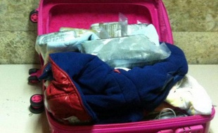 La police espagnole a arrêté à l'aéroport de Madrid une mère de famille arrivant de République dominicaine, qui transportait 12 kilos de cocaïne dans la petite valise de l'un de ses enfants, a annoncé mercredi le ministère de l'Intérieur.