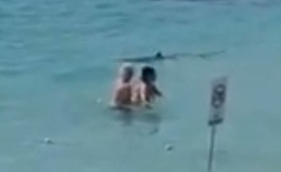 Un requin sème la panique à Palma de Majorque.