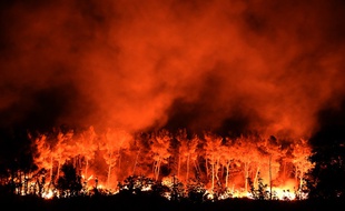 Un incendie aux Pennes-Mirabeau, près de Marseille, le 11 août 2016.