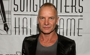 Le chanteur Sting