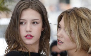 Un film attendu, "La Vie d'Adèle", Palme d'or du Festival de Cannes, des comédies comme "Les Garçons et Guillaume, à table!" mais aussi un invité surprise, "L'Inconnu du lac", film cru et osé, figurent parmi les favoris des Césars 2014.