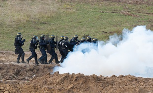 Sur le site de Sivens, lors d'une intervention de gendarmes.