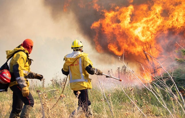 Pyrénées-Orientales : 75 hectares partent en fumée à Néfiach, huit pompiers blessés