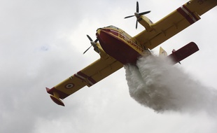Un Canadair sur un feu de forêt (illustration)