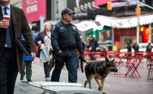 Un policier patrouille le 19 novembre 2015 dans les rues de New York.
