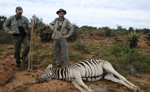 Illustration d'un safari-chasse en Afrique.