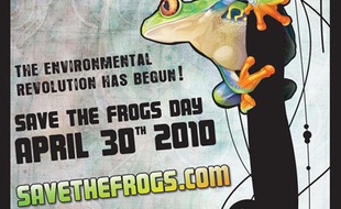 Capture d'écran du site savethefrogs.com à l'occasion de la journée mondiale du sauvetage des grenouilles.