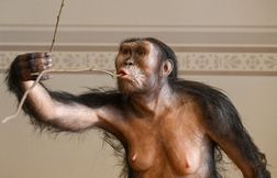 L’australopithèque Lucy fait son premier voyage européen en s’exposant à Pr…