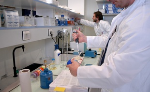 Encore un prix Nobel pour l’université de Strasbourg… Ça change quoi au final ? (Archives, INSTITUT DE SCIENCE ET D'INGENIERIE SUPRAMOLECULAIRE)