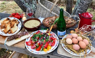 Un pique-nique dans un jardin