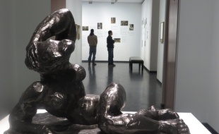 Lyon, le 2 décembre 2016
Le musée des beaux arts de Lyon consacre une exposition à Henri Matisse jusqu'au mois de mars 2017. C. Girardon / 20 Minutes