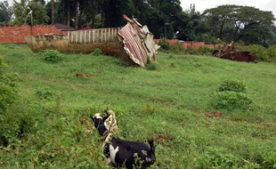 Le 6 avril 1994, l'avion de Juvénal Habyarimana, avait été abattu en phase d'atterrissage à Kigali.