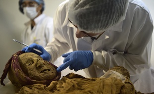 Le médecin légiste et archéo-anthropologue Philippe Charlier examine une momie d'Equateur du XVIe siècle au laboratoire de l'Institut du patrimoine culturel d'Equateur à Quito le 30 janvier 2019