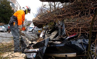 A Strasbourg aussi la tempête Xynthia a fait des dégâts, le 28 février 2010.