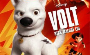 Jaquette du jeu "Volt" sur xbox360