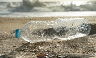 Une bouteille en plastique échouée sur une plage.