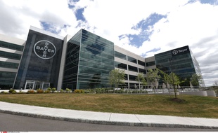 Le siège social des laboratoires Bayer, producteurs des implants de stérilisation féminin Essure, à Whippany dans le New Jersey (Etats-Unis) le 29 février 2016.