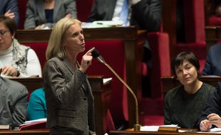 Ségolène Neuville (PS), à l'Assemblée nationale lors des questions au Gouvernement