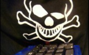 Quatre-vingt-un pour cent des logiciels utilisés actuellement en Afrique proviennent de piratages, ce qui coûte des milliards de dollars à l'industrie et aux gouvernements, tout en freinant la croissance, ont conclu des experts à Nairobi.