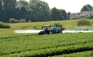 Un agriculteur épand des pesticides dans un champs à Vimy près de Lens (Nord de la France) le 24 juin 2014