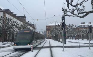 La ville de Strasbourg est recouverte d'un petit manteau blanc ce dimanche matin.