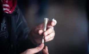 Un homme roule un joint, le 18 janvier 2015