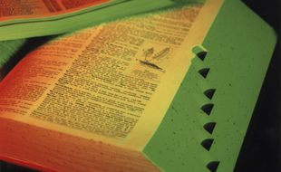 Le Robert illustré, version grand public du Petit Robert, a présenté ce lundi matin les nouveaux mots entrant dans le dictionnaire.