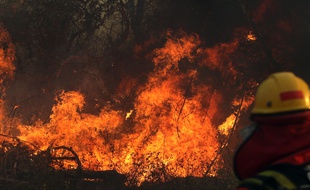 Un incendie de forêt à Robore, dans la région de Santa Cruz en Bolivie le 22 août 2019.