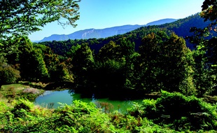 Vercors Sauvage, la réserve de vie sauvage que souhaite créer l'Aspas, fera 490 hectares.