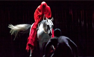 La compagnie Bartabas proposera un spectacle équestre.