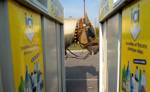Dans son ambition de devenir la capitale verte de l'Europe en 2019, la ville de Strasbourg va recourir aux chevaux pour le ramassage des ordures ménagères. (Illustration