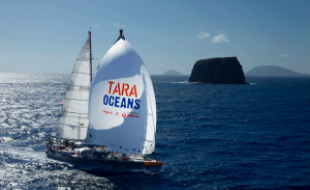 La goélette de la fondation Tara Océan a passé six mois à sillonner les fleuves européens.