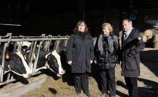 La candidate Europe-Ecologie-les-Verts (EELV) à la présidentielle Eva Joly a accusé vendredi les Safer (société d'aménagement foncier et d'établissement rural), sous tutelle de l'Etat, de contribuer à la disparition des terres agricoles.